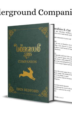 The Underground Series Companion Book